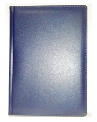 Ежедневник A5 BRISK Bizon, синий