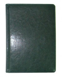 Ежедневник A6 BRISK Sarif, зелёный