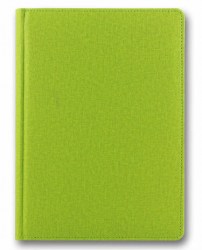 brisk-zv-55-cambric-light-green-b