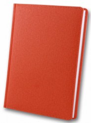 brisk-zv-55-cambric-orange-a