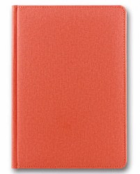brisk-zv-55-cambric-orange-b