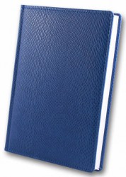 brisk-zv-55-crocodile-blue-a