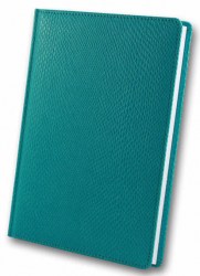brisk-zv-55-crocodile-sky-blue-b