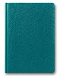 brisk-zv-55-crocodile-sky-blue-c