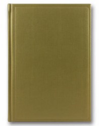 brisk-zv-55-gospel-gold-b