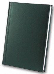 brisk-zv-55-metaphor-green-a