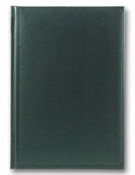 brisk-zv-55-metaphor-green-b
