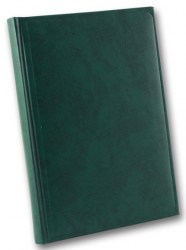 Ежедневник A5 BRISK Miradur, зелёный