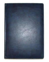Ежедневник A5 BRISK Savana, синий