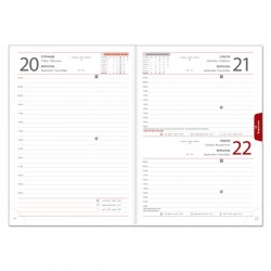 brisk-zv-55-white-date-ajpg