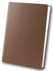 brisk-zv-703-frankfurt-cappuccino-a