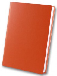 brisk-zv-703-frankfurt-orange-a