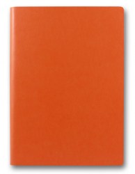 brisk-zv-703-frankfurt-orange-c