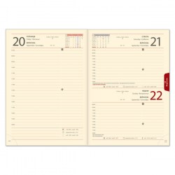brisk-zv-71-winner-cream-date