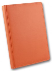 brisk-zv-71-winner-orange-b