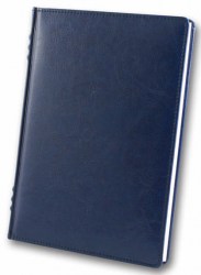 brisk-zv-713-sarif-fr-blue-a