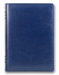 brisk-zv-713-sarif-fr-blue-b