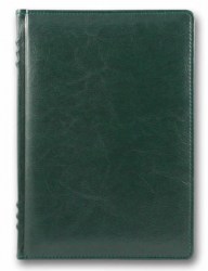 brisk-zv-713-sarif-fr-green-b
