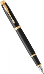 Ручка перьевая PARKER IM 17 Black GT FP F (22 011)