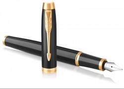 im-17-black-gt-fp-f-22-011-c
