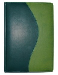 Ежедневник A5 BRISK Комби, зелёный + фисташковый
