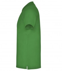 roly-star-6638-216-c