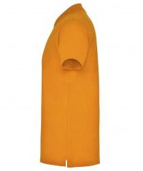 roly-star-6638-31-c
