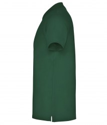 roly-star-6638-56-c