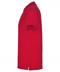 roly-star-6638-60-c