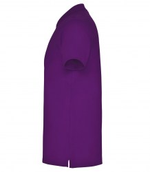 roly-star-6638-71-c