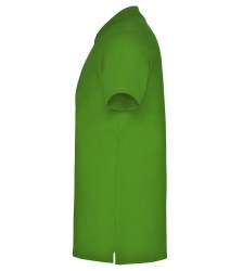 roly-star-6638-83-c
