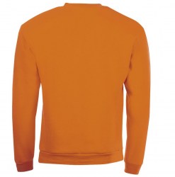 sols-spider-01168400-b