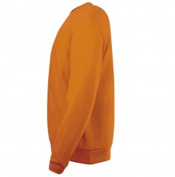 sols-spider-01168400-c