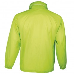sols-surf-32000282-b