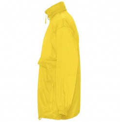 sols-surf-32000301-c